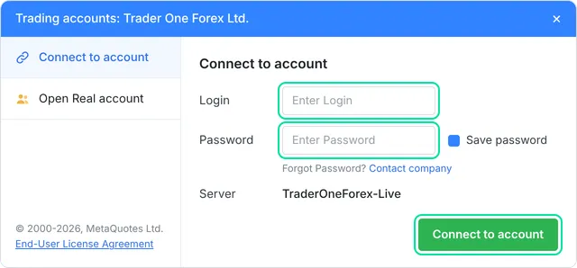 MetaTrader 5 web terminal: Connect to account