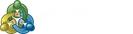 MetaTrader 5